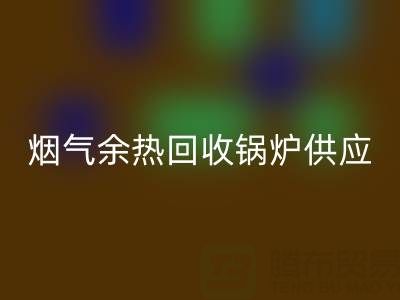 烟气余热回收锅炉供应商盘点:行业领先企业及技术解析
