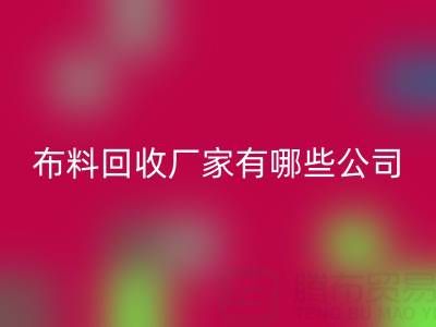 广东比较知名的靠谱二手布料回收厂家有哪些公司