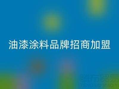 油漆涂料品牌招商加盟方案——携手油漆涂料回收厂家,共创财富未来