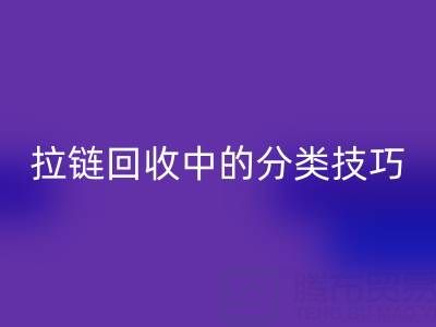 拉链回收中的分类技巧:提高回收效率的秘诀