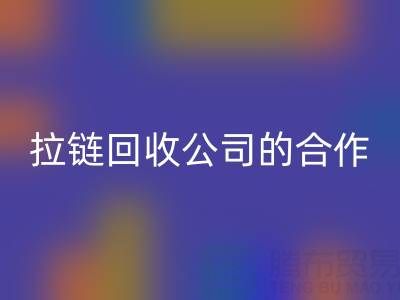 跨境电商时代:拉链回收公司的国际合作与交流新路径
