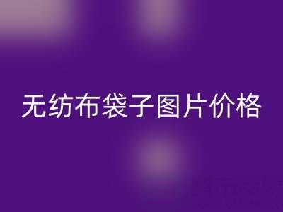 无纺布袋子生产厂家:如何高效获取产品图片与价格指南