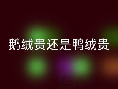 鹅绒贵还是鸭绒贵?鹅绒和鸭绒选购建议大揭秘!