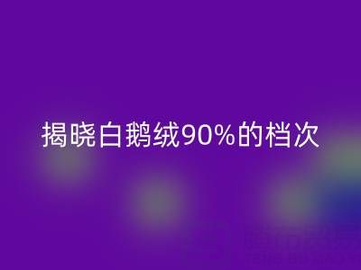 揭秘白鹅绒90%的档次与价值,探寻杭州羽绒回收奥秘