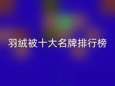 中国羽绒被十大名牌排行榜:权威盘点与选购指南